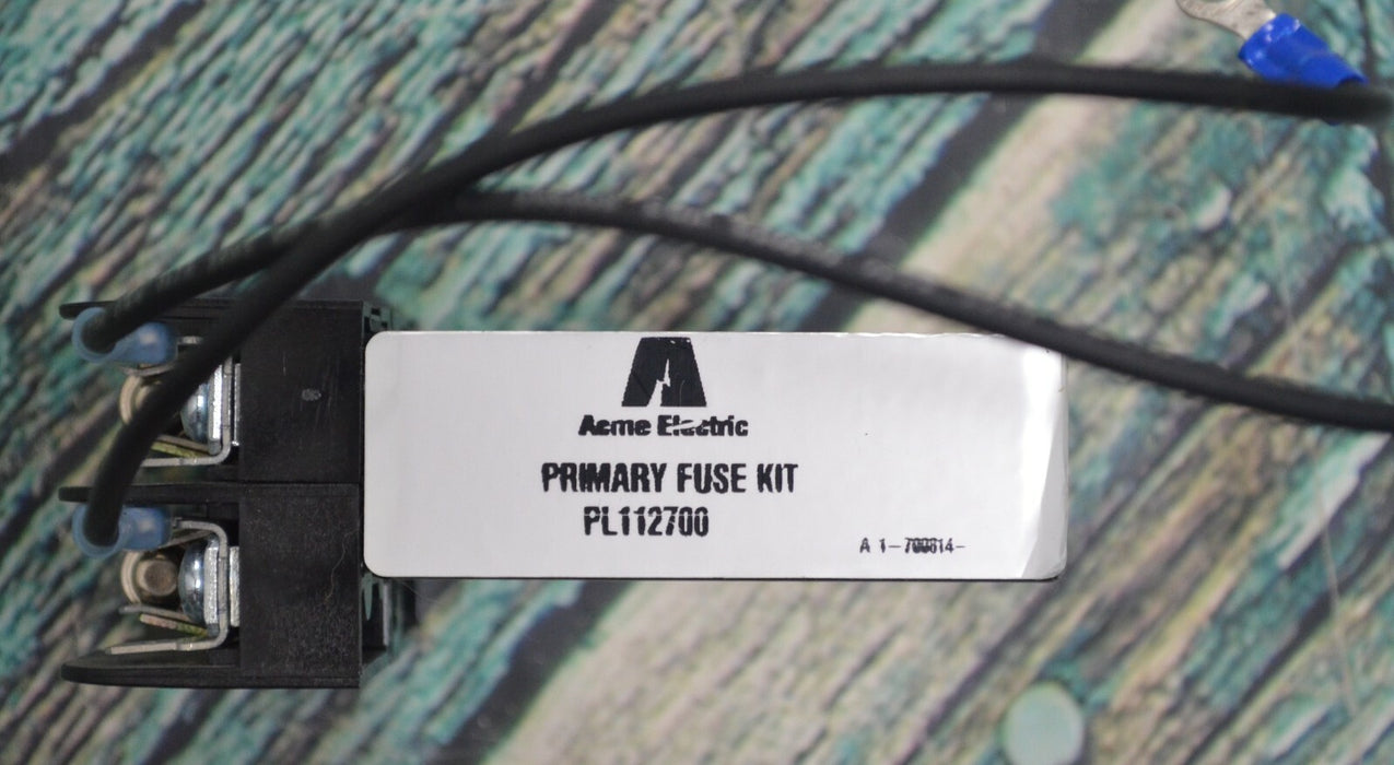 Bussmann BCA6032PQ Fuseholder with two FNQ-R-1 Fuses