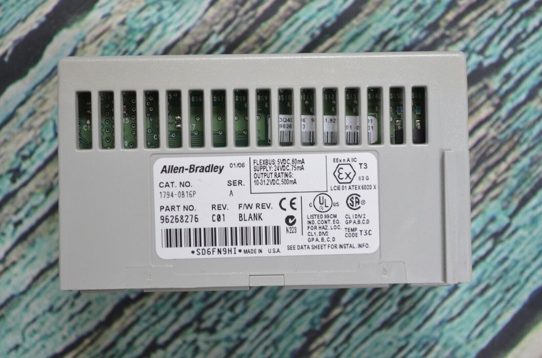 Allen-Bradley 1794-OB16P Series A 24 VDC Source Output Protected Tested Good C01